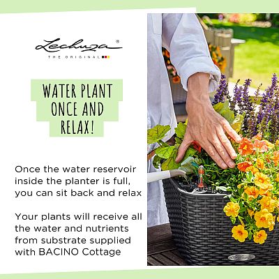 LECHUZA BACINO Cottage Square Poly Resin Self-watering Planter
