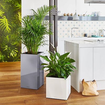 LECHUZA CANTO Low Square Poly Resin Self-watering Planter