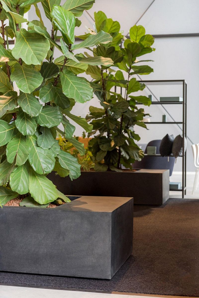Fibrestone Jumbo Seating Rectangle Planter by Idealist Premium