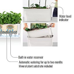 LECHUZA DELTA 10|DELTA 20 Poly Resin Indoor Self-watering Planter