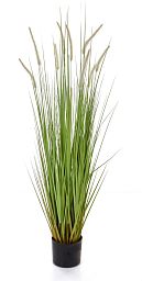 Dogtail with Pot Artificial Grass Plant