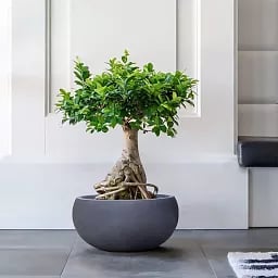 IDEALIST Lite Classic Smooth Bowl Outdoor Planter