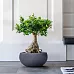 IDEALIST Lite Classic Smooth Bowl Outdoor Planter