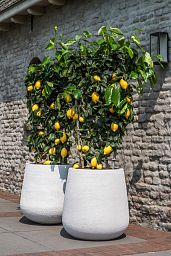 Fibrestone Pax Round Planter by Idealist Premium