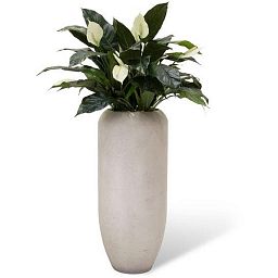 Business Artificial Flower Plants Sets