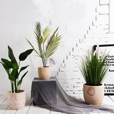 HORTICO RADIAL Wooden House Planter Round Indoor Plant Pot for House Plants with Waterproof Liner