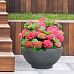 IDEALIST Lite Dish Style Smooth Bowl Outdoor Planter