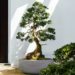 IDEALIST Lite Ribbed Light Concrete Bowl Planter