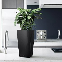 LECHUZA CUBICO Square Tall Poly Resin Self-watering Planter