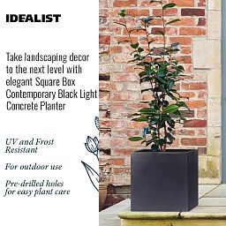 IDEALIST Lite Square Box Contemporary Light Concrete Planter