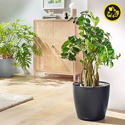 LECHUZA CLASSICO Color ECO Round PCR Plastic Self-watering Planter
