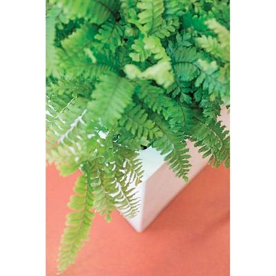 PREMIUM BLOCK Room Divider Trough Plastic Planter