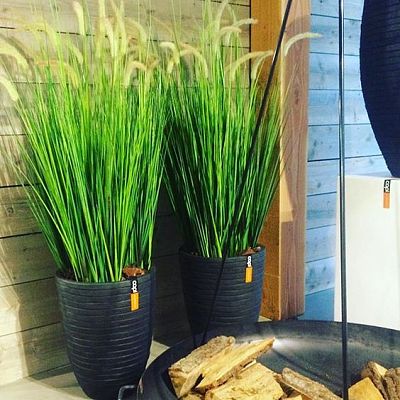 Round Resin Row Planter by Cadix Capi Tutch Vase Elegance Low