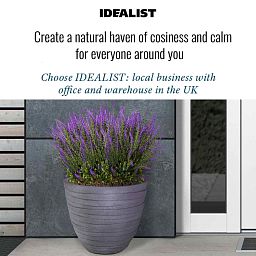 IDEALIST Lite Row Light Concrete Egg Planter