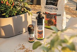 LECHUZA Liquid Orchid Fertiliser Perfect Orchid Fluid