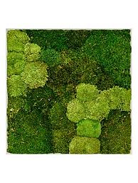 Moss Painting Superline L Square