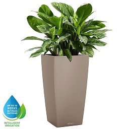 LECHUZA CUBICO Color Square Tall Poly Resin Self-watering Planter