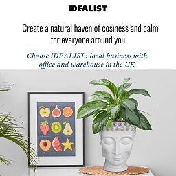 IDEALIST Lite Buddha Face Plant Pot Indoor