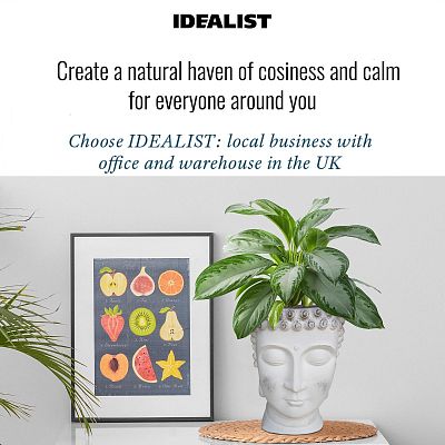 IDEALIST Lite Buddha Face Plant Pot Indoor