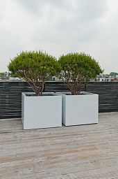 Square Fiberstone Planter by Idealist Premium JUMBO Glossy