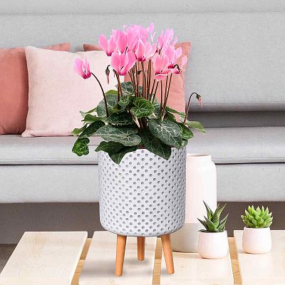 IDEALIST Lite Dotted Style Cylinder Planter on Legs, Round Pot Plant Stand Indoor