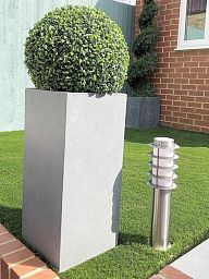 Photogenic Boxwood Buxus standard - MONO BALL, Box standard (Buxus sempervirens)