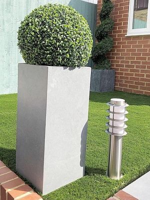 Photogenic Boxwood Buxus standard - MONO BALL, Box standard (Buxus sempervirens)