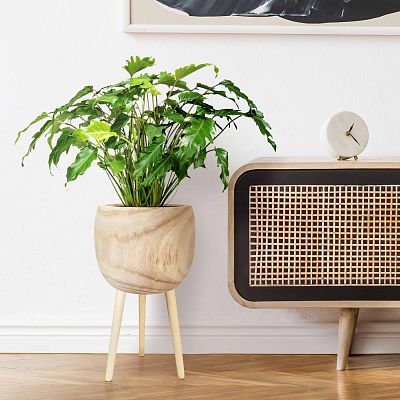 HORTICO TREND Wooden House Planter with Legs, Tall Indoor Plant Pot Stand with Waterproof Liner