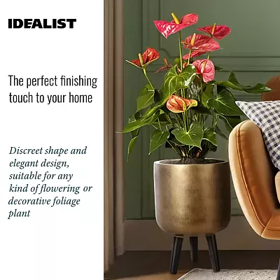 IDEALIST Lite Round Planter on Legs, Round Pot Plant Stand Indoor