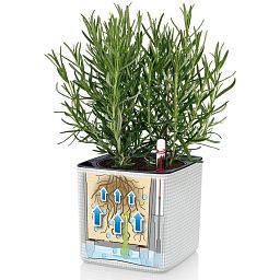 LECHUZA CUBE Color Square Poly Resin Indoor Self-watering Planter Set