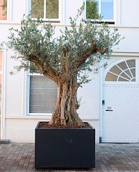 Florida Outdoor Aluminum Square Planter