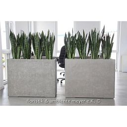 DIVISION Concrete GRC Large Trough Planter Outdoor