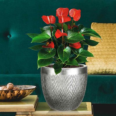 IDEALIST Lite Mesh Style Round Indoor Planter