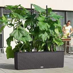 LECHUZA Trellis for TRIO