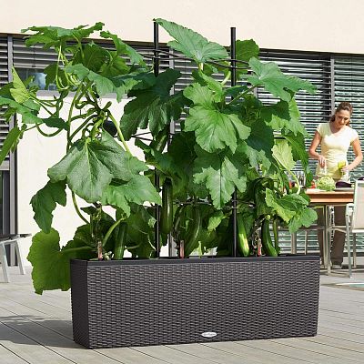 LECHUZA Trellis for TRIO