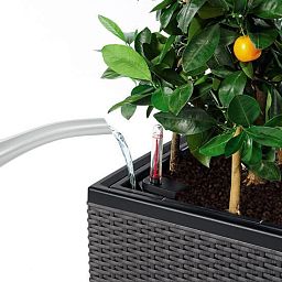 LECHUZA TRIO Cottage Trough Poly Resin Self-watering Planter