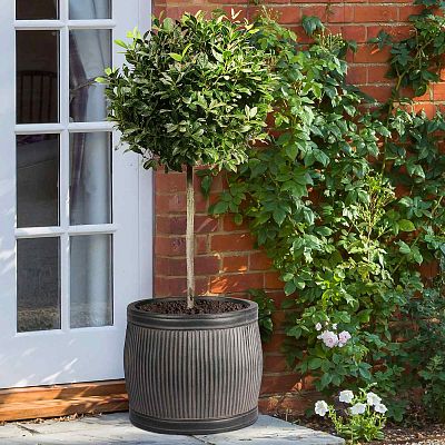 IDEALIST Lite Vertical Ribbed Vintage Style Barrel Round Planter