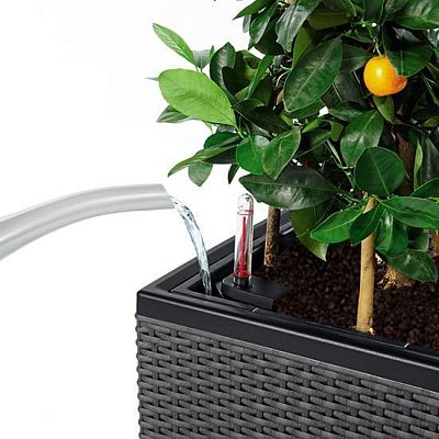 LECHUZA TRIO Cottage Trough Poly Resin Self-watering Planter