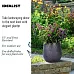 IDEALIST Lite Leaf Embossed Egg Planter