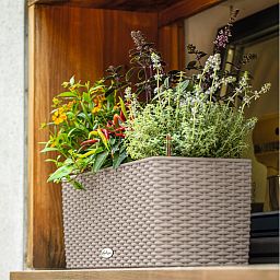 LECHUZA BALCONERA Cottage Trough Poly Resin Self-watering Planter
