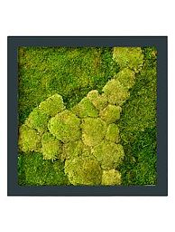 Moss Painting Stiel Square