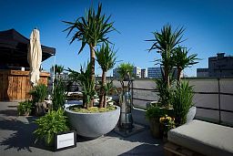 Bowl Round Polystone Planter by Fleur Ami EGO PLUS