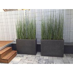 DIVISION Concrete GRC Large Trough Planter Outdoor