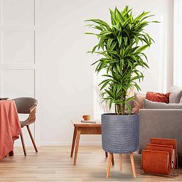 IDEALIST Lite Honeycomb Style Cylinder Planter on Legs, Round Pot Plant Stand Indoor