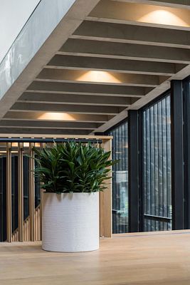 Fibrestone Max Round Planter by Idealist Premium