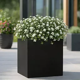 IDEALIST Lite Square Box Contemporary Light Concrete Planter