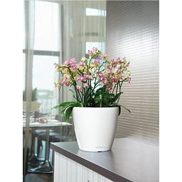 LECHUZA CLASSICO LS Round Poly Resin Self-watering Planter Set