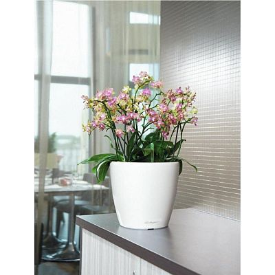 LECHUZA CLASSICO Color Round Poly Resin Self-watering Planter Set