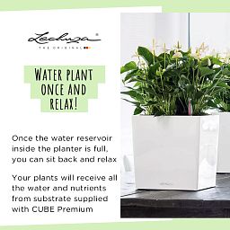 LECHUZA CUBE Square Poly Resin Self-watering Planter