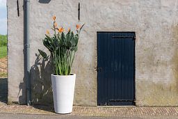 Fibrestone Belle Tall Planter by Idealist Premium
